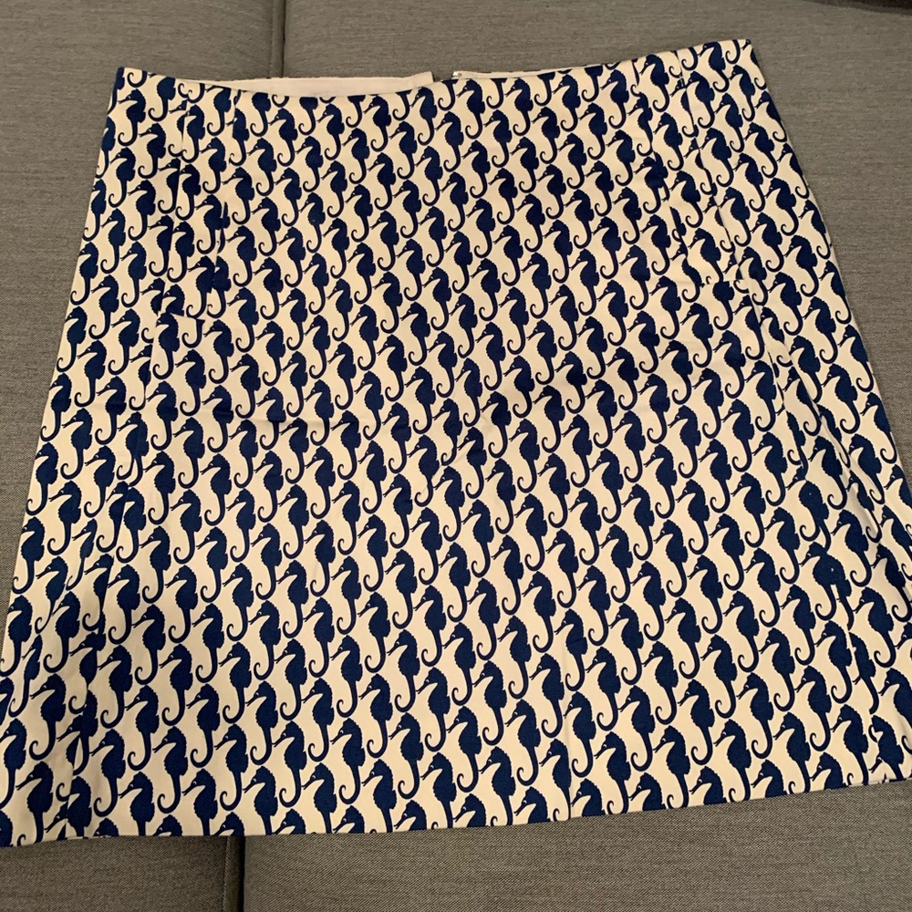 JCrew Skirt.
